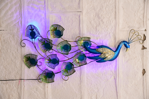 1ed1db16-c449-4108-9f28-0b6448ce45a1_36aad1a9-cd5b-492a-ab36-dd3c830ca621-4x