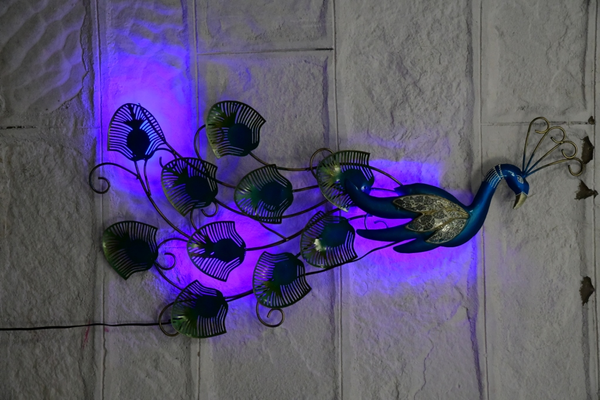 be-555_08ca1f37-1fe0-4efc-a6b4-db63e5b4d0a4-4x