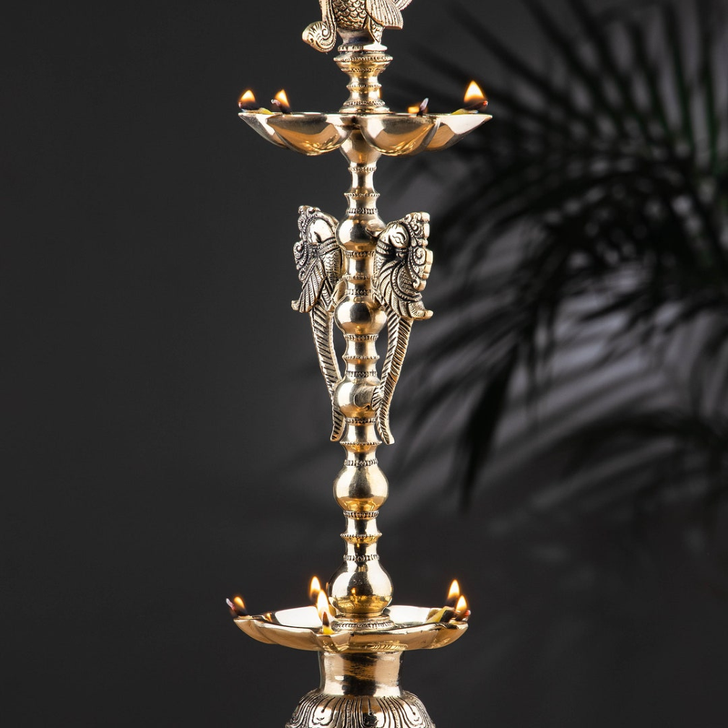 eed13532-c0e6-4dcd-b73e-459b732fe231_f4d00f57-8992-49c2-8d8b-11b7111fc24e-4x